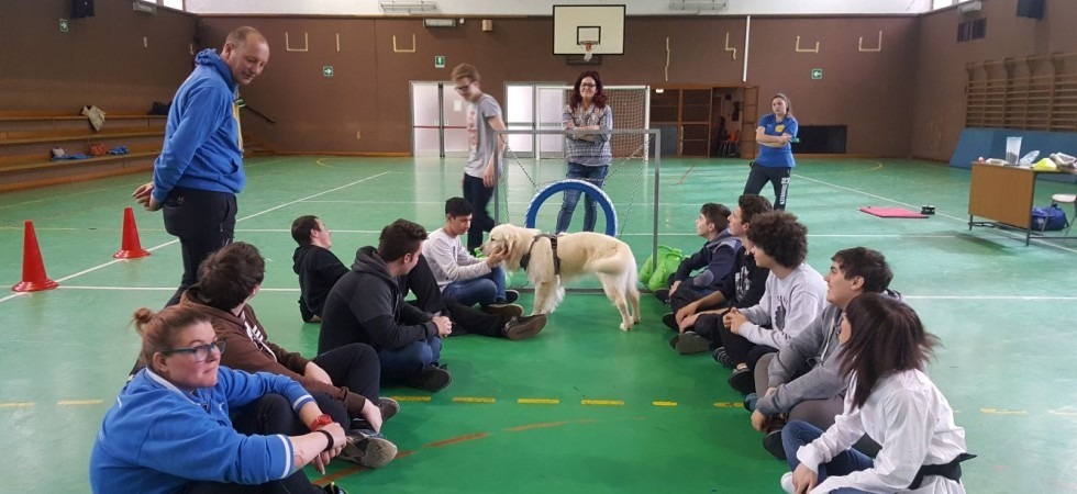 Muso da cucciolo e scodinzolamento: ecco come la pet therapy aiuta bambini, anziani e disabili